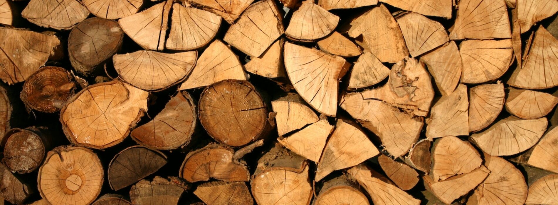 Jak skutecznie pozbyć się szkodników drewna?