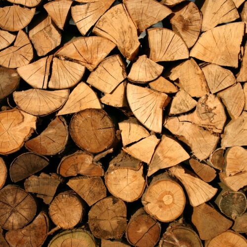 Jak skutecznie pozbyć się szkodników drewna?